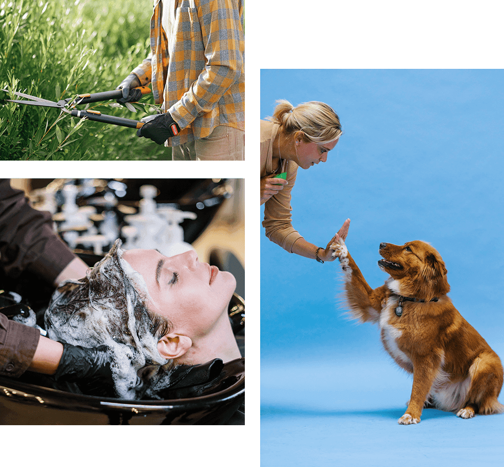 Kesari Appointment Booking Kesari Appointment Booking